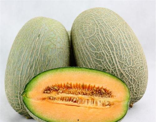 西瓜虫吃哈密瓜视频,哈密瓜美食盛宴现场直播