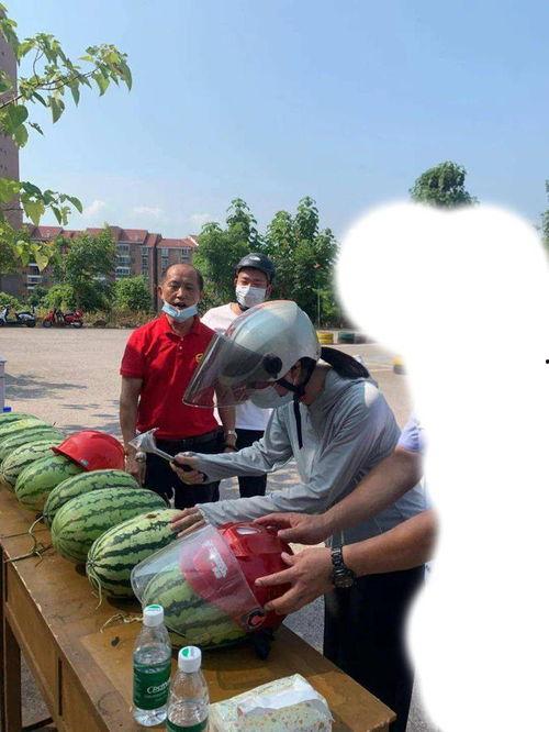 黄县吃瓜事件视频最新,一场网络狂欢背后的真相与反思