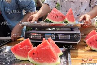 山东吃瓜最新视频播放网,最新热门播放盘点，揭秘网络热点背后的故事