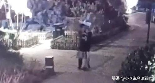 宁夏吃瓜视频完整版,揭秘当地特色美食与风土人情