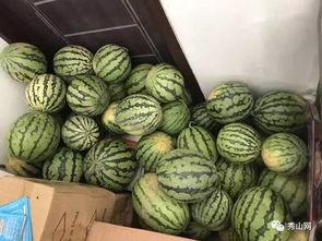 松溪吃瓜比赛视频播放网站,网络狂欢，瓜王争霸战一触即发！